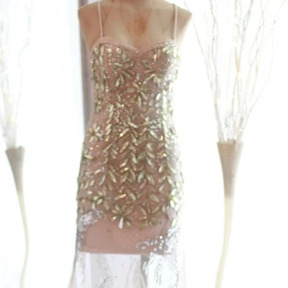 Dave & Johnny Pink and Gold Embellished Dress - Picture 2 of 11